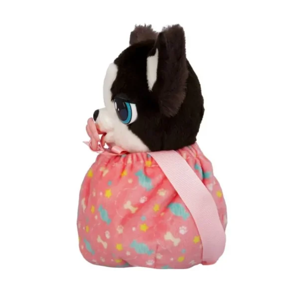 Mini - Border Collie*Baby Paws Discount