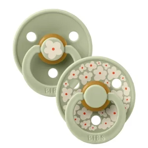 2Pk Colour Latex Str.2, Studio Jasmine/Sage Mix*BIBS Store