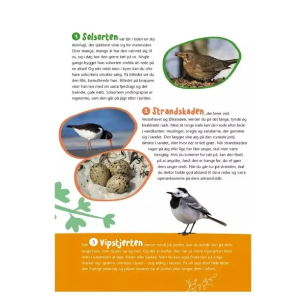 Bog Fugle I Vores Natur*Forlaget Bolden New
