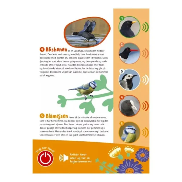 Bog Fugle I Vores Natur*Forlaget Bolden New