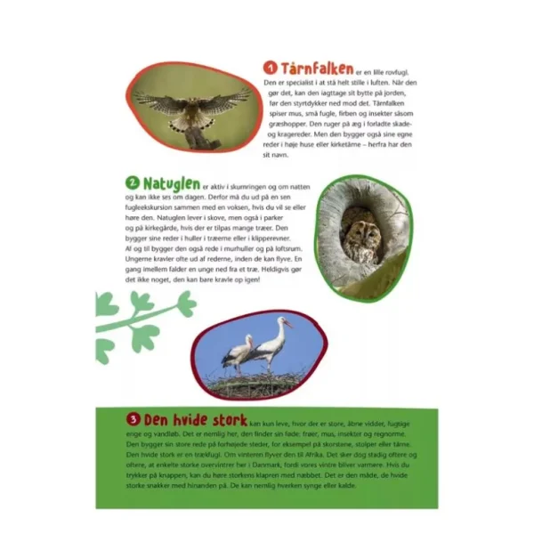 Bog Fugle I Vores Natur*Forlaget Bolden New