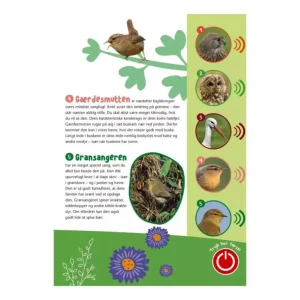 Bog Fugle I Vores Natur*Forlaget Bolden New