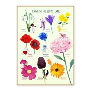 Plakat 50X70Cm, Farverne Og Blomsterne*Ciha Shop