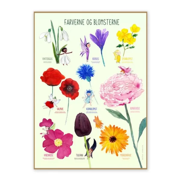 Plakat 50X70Cm, Farverne Og Blomsterne*Ciha Shop