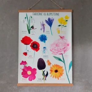 Plakat 50X70Cm, Farverne Og Blomsterne*Ciha Shop