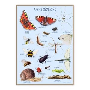 Plakat 50X70Cm, Smadyr Omkring Dig*Ciha Store