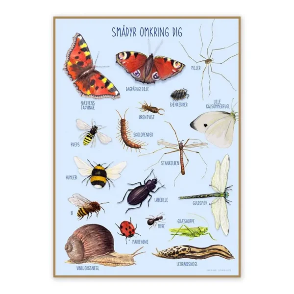 Plakat 50X70Cm, Smadyr Omkring Dig*Ciha Store