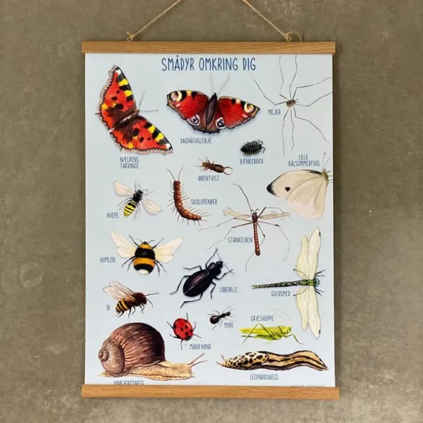 Plakat 50X70Cm, Smadyr Omkring Dig*Ciha Store