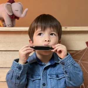 Egmont Harmonika, Solv*Egmont Toys Clearance