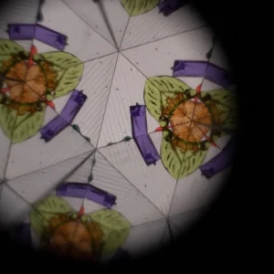 Kaleidoskop - Carrot Thief*Filibabba New