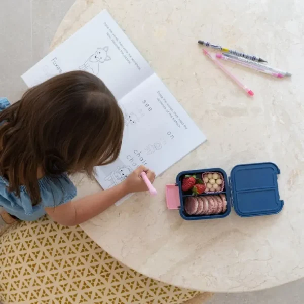'Bento Two', Steel Blue*Little Lunch Box Flash Sale
