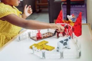 Bondegardsdyr, 25 Dele*Magna-Tiles Discount