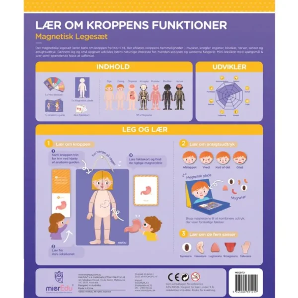 Magnetisk Legesaet - Laer Om Kroppens Funktioner*mierEdu Hot