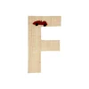 Raffia Klistermærker - F - Bil*RICE Hot