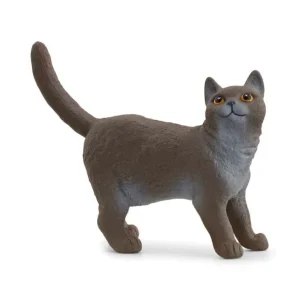 British Shorthair Cat*Schleich Best