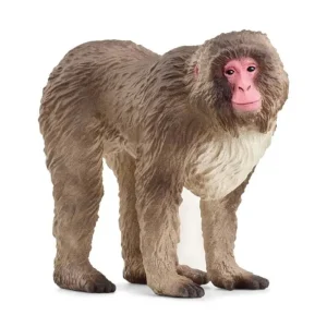 Japanese Macaque*Schleich Best