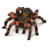 Tarantel*Schleich Cheap