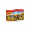 Wild Life Starter-Set*Schleich Outlet